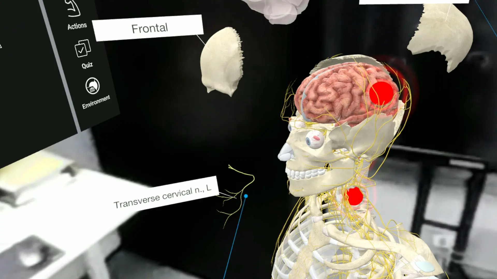 图片[4]-3D Organon VR 人体解剖学 VR-侠趣网