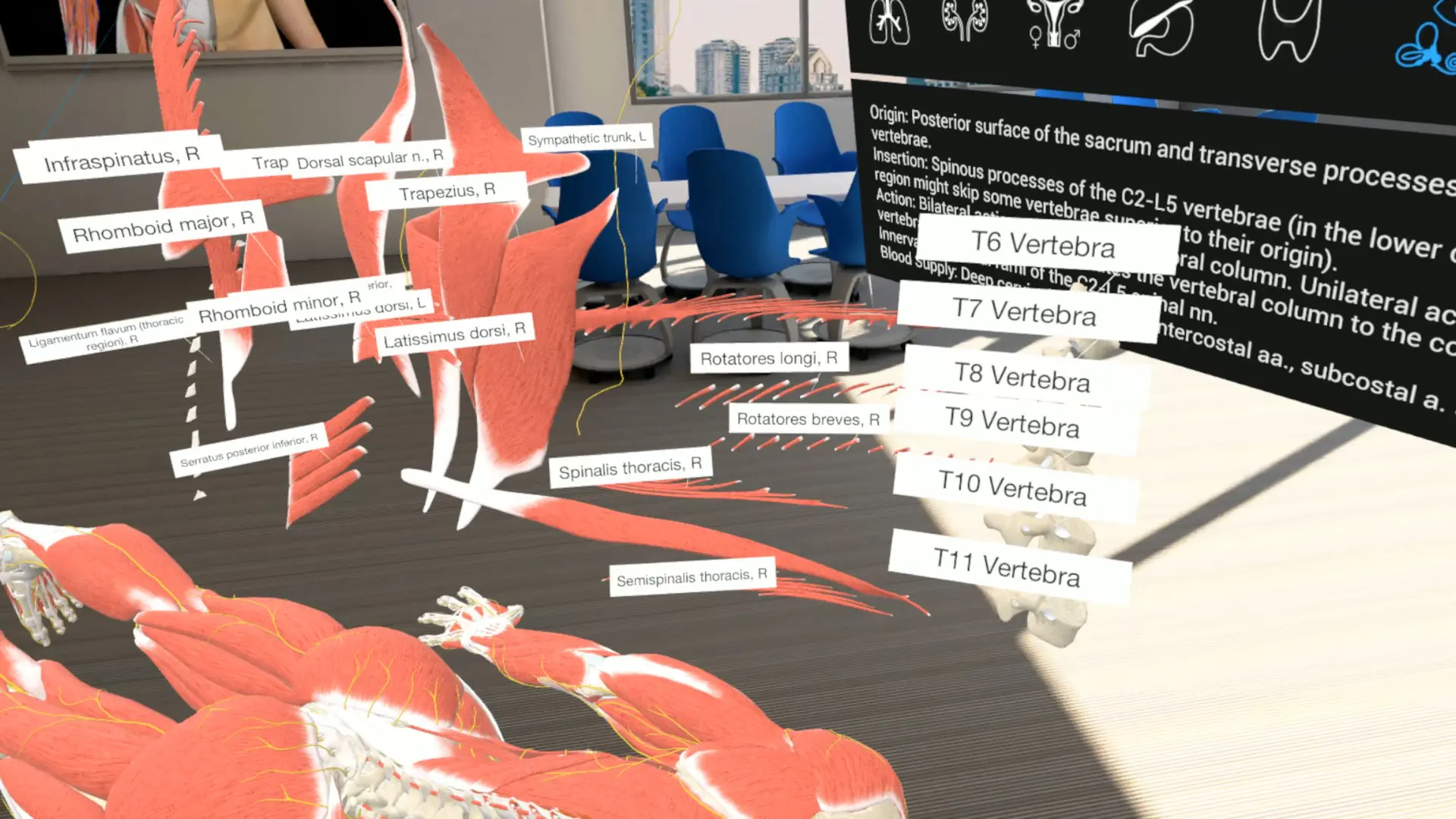 图片[2]-3D Organon VR 人体解剖学 VR-侠趣网