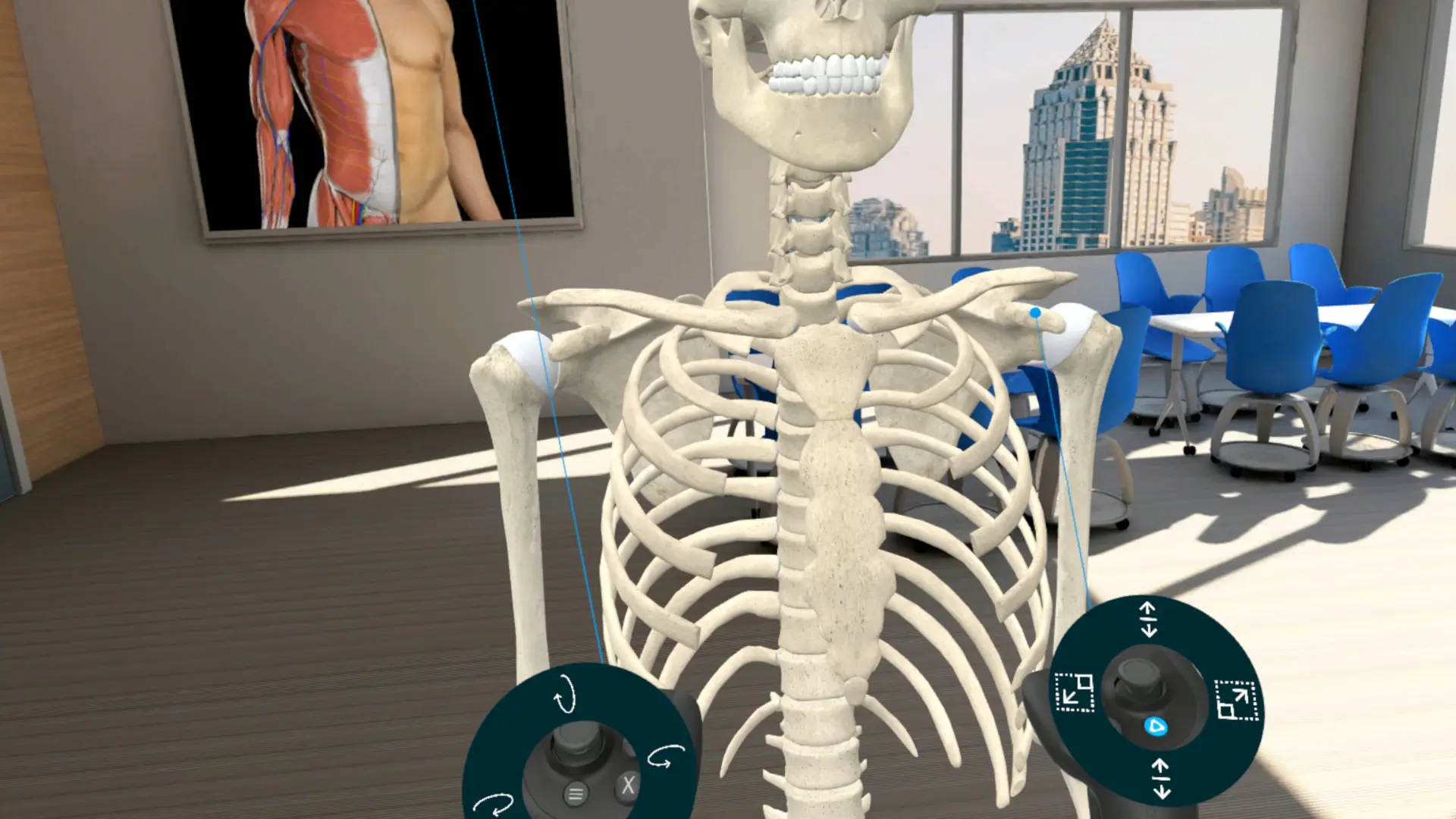 图片[1]-3D Organon VR 人体解剖学 VR-侠趣网