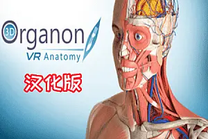3D Organon VR 人体解剖学 VR-侠趣网