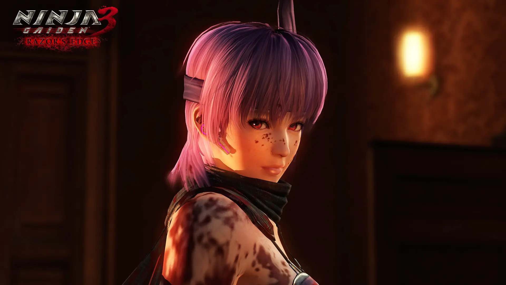 图片[3]-忍者龙剑传 大师合集123 NINJA GAIDEN MASTER COLLECTION DELUXE EDITION v1.0.0.3版 官方中文-侠趣网