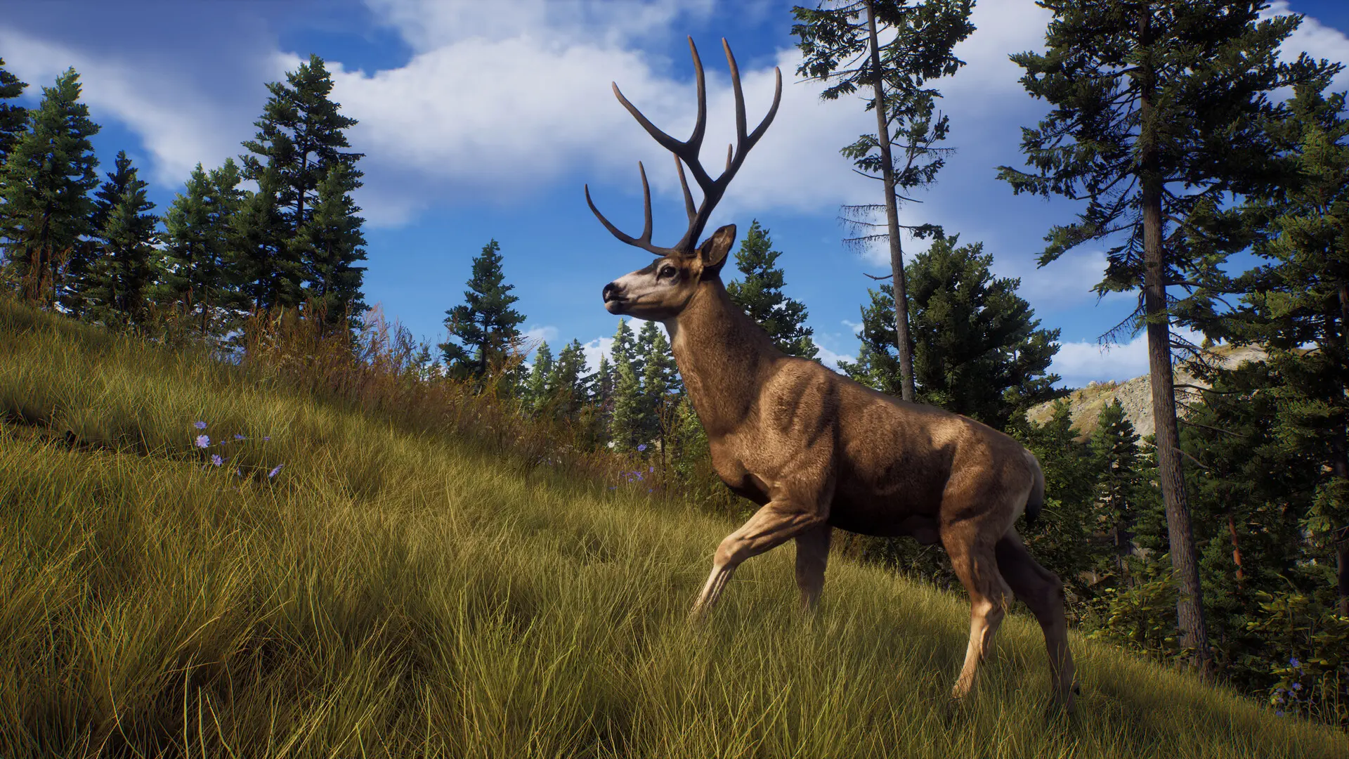猎人之路 way of the hunter v1.26.4版 集成全DLC 官方中文-侠趣网
